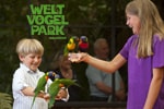 Vogelpark Walsrode